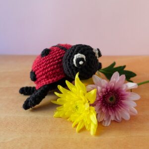 Daisy coccinelle -  Amigurumi – Image 4