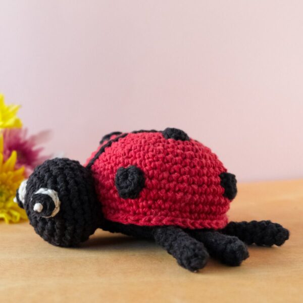 Daisy coccinelle -  Amigurumi