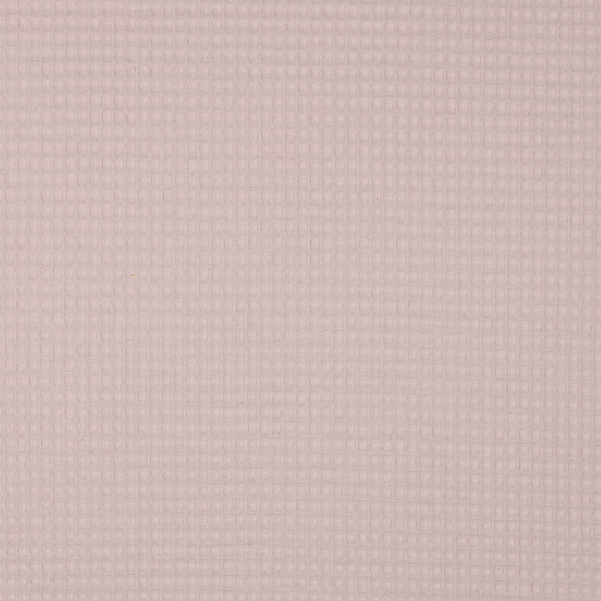 nid dabeille bio rose poudre atelier leonie 01